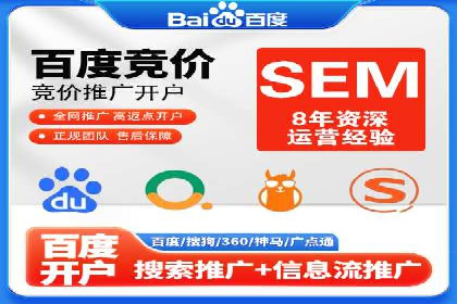 某电商平台的SEM广告投放全流程解析